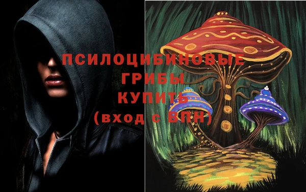 прущая мука Алзамай