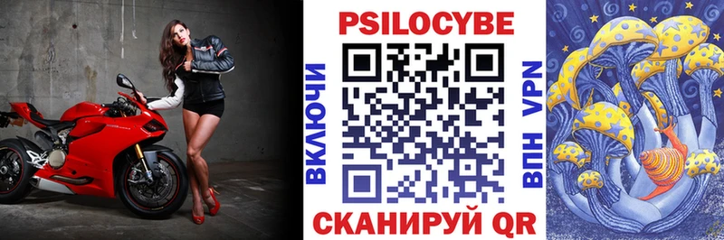 купить наркотики цена  Мещовск  Галлюциногенные грибы Psilocybine cubensis 