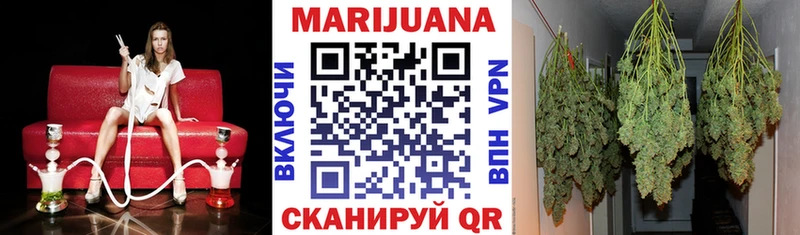 купить   Мещовск  Канабис тримм 